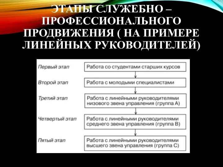 ЭТАПЫ СЛУЖЕБНО – ПРОФЕССИОНАЛЬНОГО ПРОДВИЖЕНИЯ ( НА ПРИМЕРЕ ЛИНЕЙНЫХ РУКОВОДИТЕЛЕЙ)