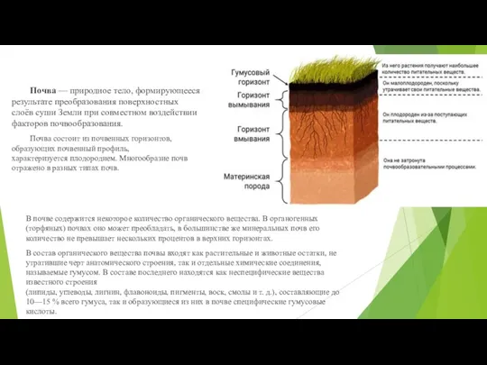 Почва — природное тело, формирующееся в результате преобразования поверхностных слоёв