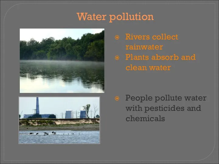 Water pollution Rivers collect rainwater Plants absorb and clean water