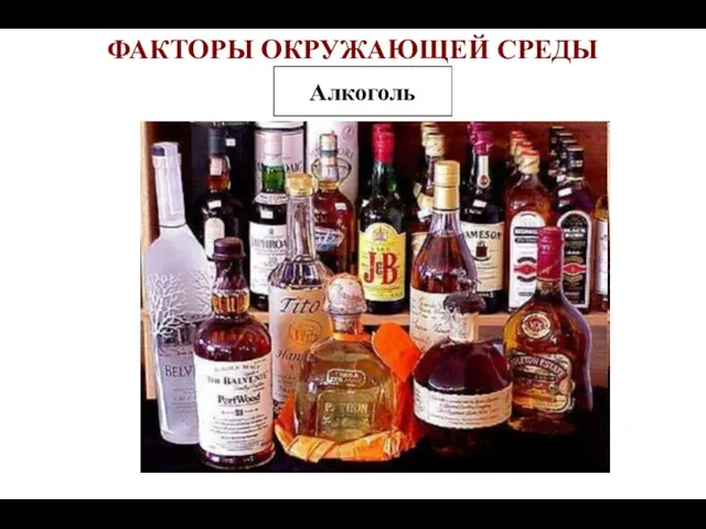 ФАКТОРЫ ОКРУЖАЮЩЕЙ СРЕДЫ Алкоголь
