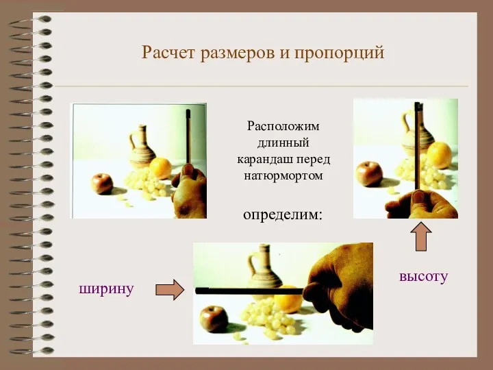 Расчет размеров и пропорций Расположим длинный карандаш перед натюрмортом определим: ширину высоту