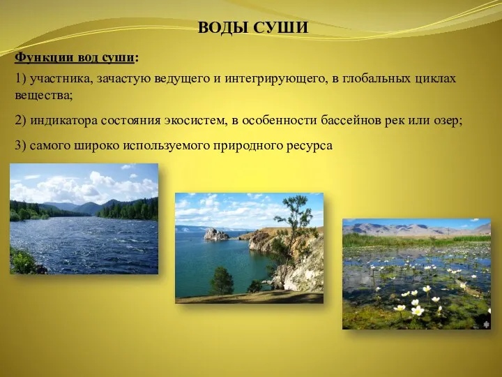 ВОДЫ СУШИ Функции вод суши: 1) участника, зачастую ведущего и