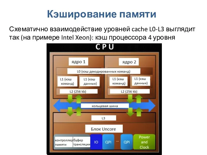 Кэширование памяти Схематично взаимодействие уровней cache L0-L3 выглядит так (на