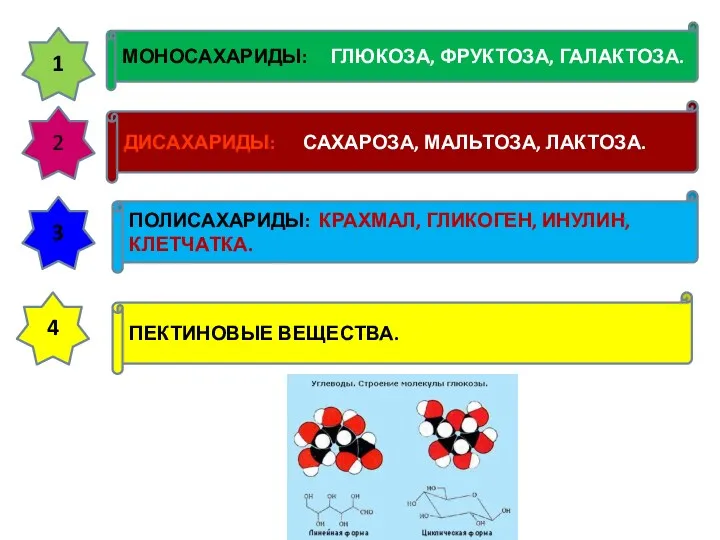 МОНОСАХАРИДЫ: ГЛЮКОЗА, ФРУКТОЗА, ГАЛАКТОЗА. 1 2 ДИСАХАРИДЫ: САХАРОЗА, МАЛЬТОЗА, ЛАКТОЗА.