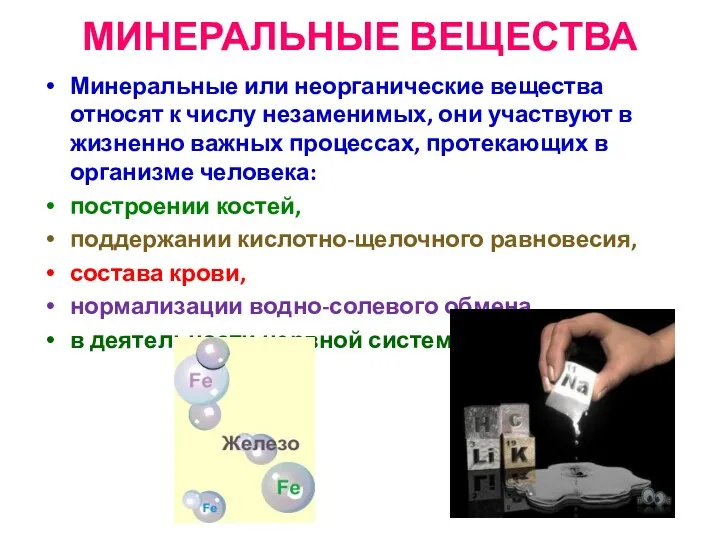 МИНЕРАЛЬНЫЕ ВЕЩЕСТВА Минеральные или неорганические вещества относят к числу незаменимых,