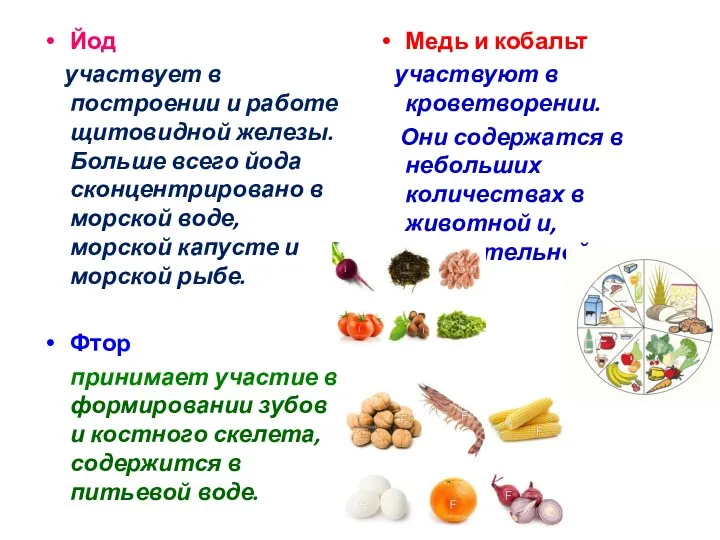 Йод участвует в построении и работе щитовидной железы. Больше всего