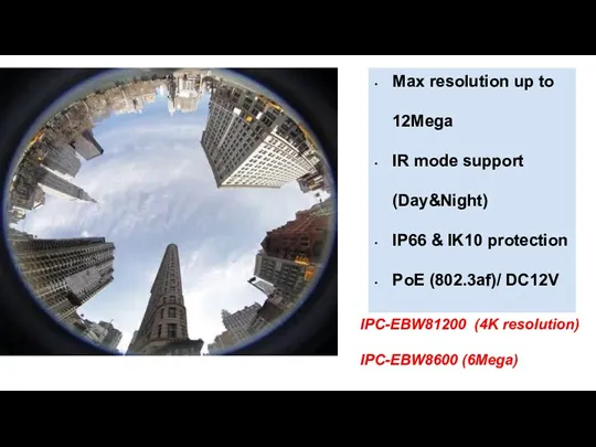 Max resolution up to 12Mega IR mode support (Day&Night) IP66