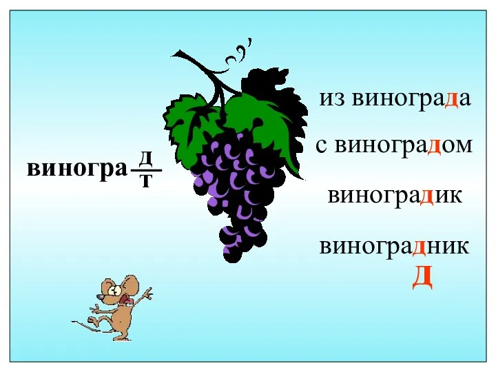 виногра д т с виноградом виноградик виноградник из винограда д