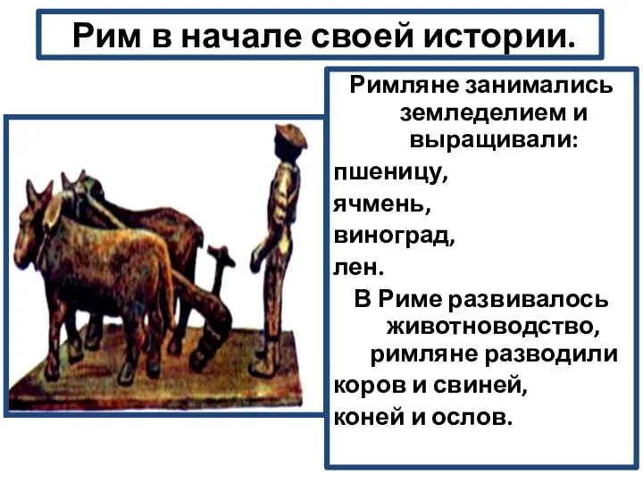 Рим в начале своей истории. Римляне занимались земледелием и выращивали: