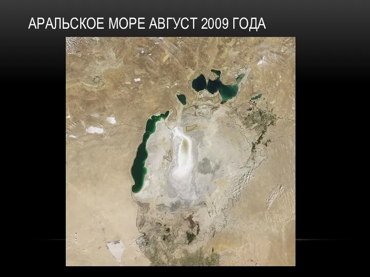 АРАЛЬСКОЕ МОРЕ АВГУСТ 2009 ГОДА