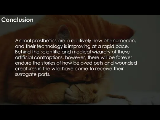 Conclusion Animal prosthetics are a relatively new phenomenon, and their