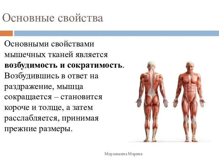 Основные свойства Основными свойствами мышечных тканей является возбудимость и сократимость.