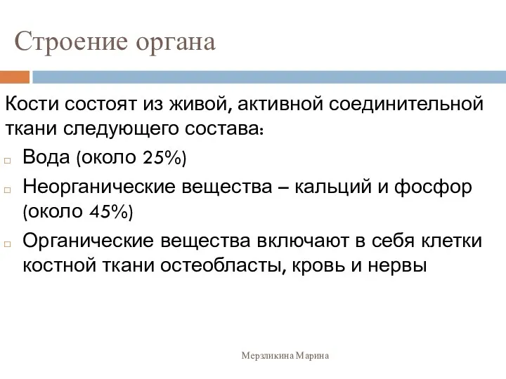 Строение органа Кости состоят из живой, активной соединительной ткани следующего