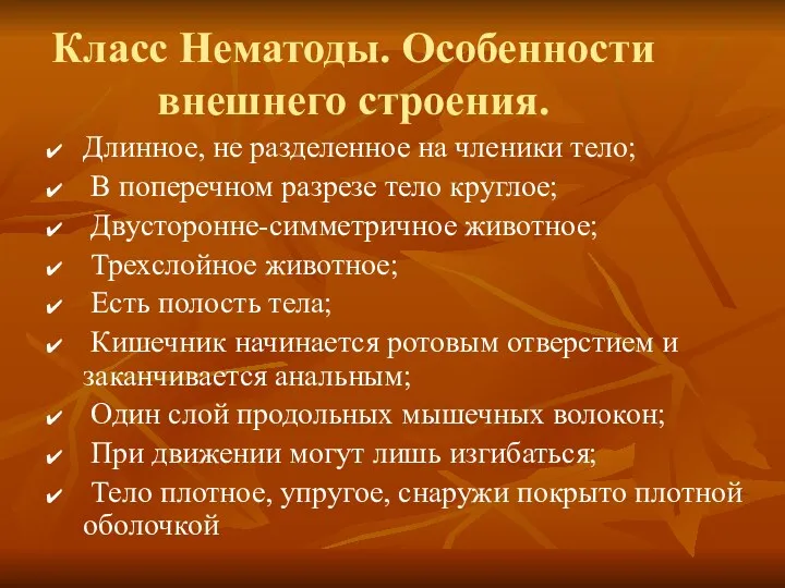 Класс Нематоды. Особенности внешнего строения. Длинное, не разделенное на членики