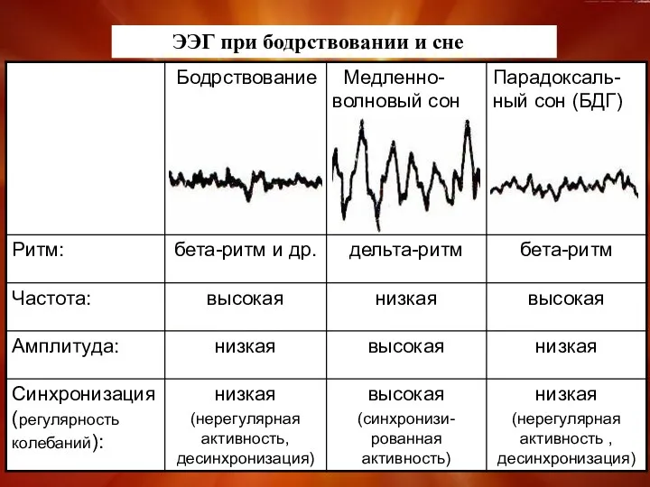 ЭЭГ при бодрствовании и сне