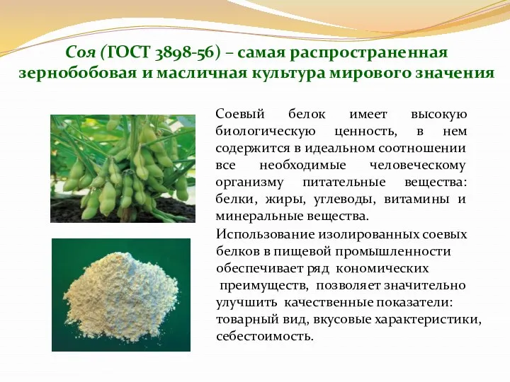 Соя (ГОСТ 3898-56) – самая распространенная зернобобовая и масличная культура мирового значения Соевый