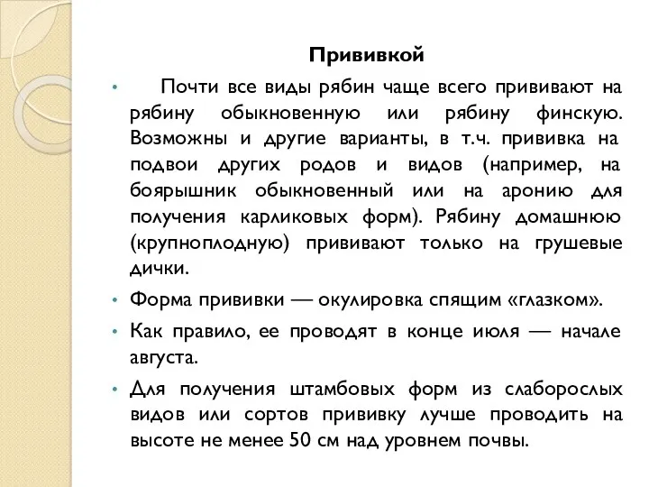 Прививкой Почти все виды рябин чаще всего прививают на рябину