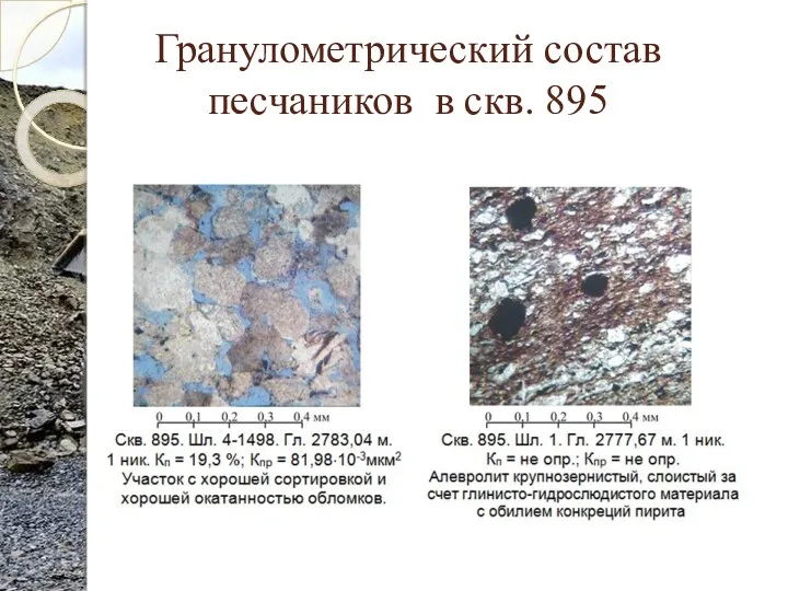 Гранулометрический состав песчаников в скв. 895