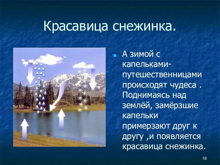 Красавица снежинка. А зимой с капельками-путешественницами происходят чудеса .Поднимаясь над