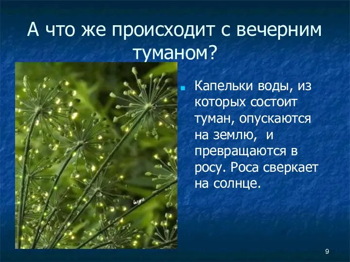 А что же происходит с вечерним туманом? Капельки воды, из