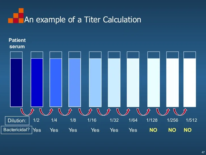 An example of a Titer Calculation Dilution: 1/4 1/8 1/16