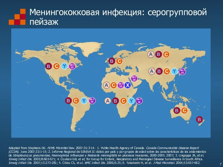 Менингококковая инфекция: серогрупповой пейзаж Adapted from Stephens DS. FEMS Microbiol