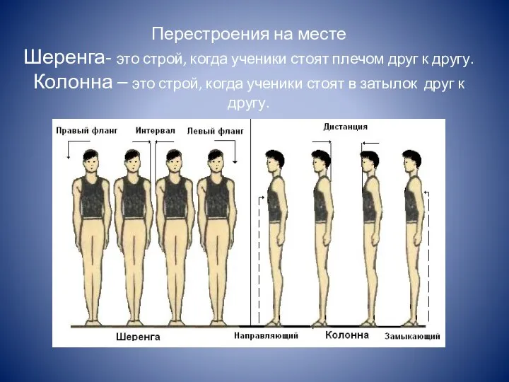 Перестроения на месте Шеренга- это строй, когда ученики стоят плечом