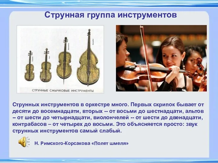 Струнная группа инструментов Струнных инструментов в оркестре много. Первых скрипок