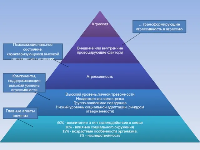 Главные агенты влияния Компоненты, поддерживающие высокий уровень агрессивности Психоэмоциональное состояние,