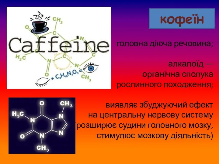 кофеїн головна діюча речовина; алкалоїд — органічна сполука рослинного походження;