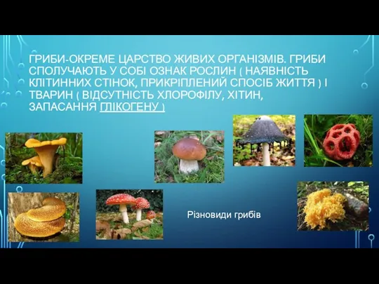 ГРИБИ-ОКРЕМЕ ЦАРСТВО ЖИВИХ ОРГАНІЗМІВ. ГРИБИ СПОЛУЧАЮТЬ У СОБІ ОЗНАК РОСЛИН