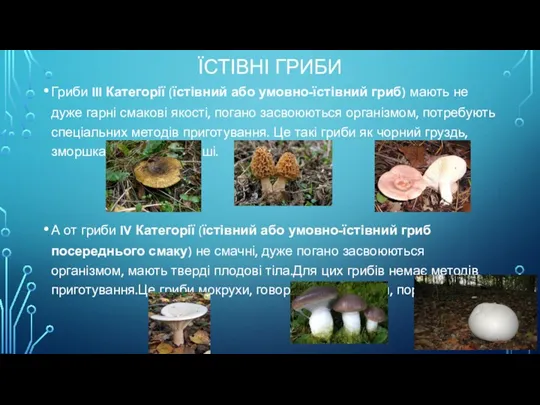 ЇСТІВНІ ГРИБИ Гриби III Категорії (їстівний або умовно-їстівний гриб) мають