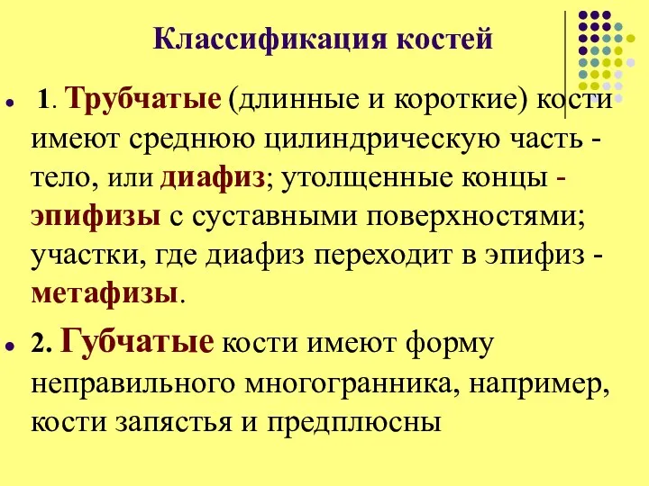 Классификация костей 1. Трубчатые (длинные и короткие) кости имеют среднюю