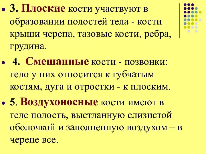 3. Плоские кости участвуют в образовании полостей тела - кости