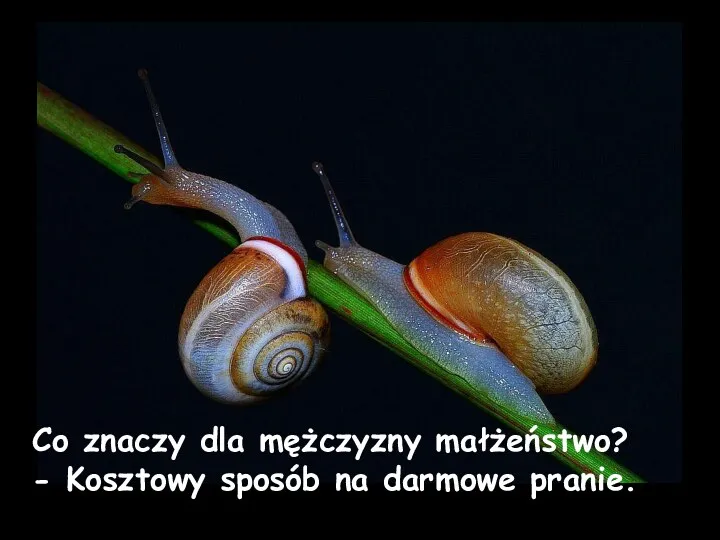 Co znaczy dla mężczyzny małżeństwo? - Kosztowy sposób na darmowe pranie.