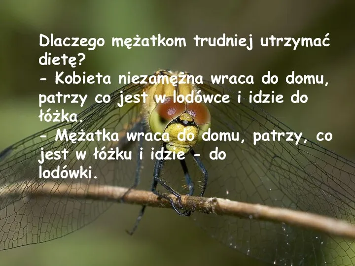 Dlaczego mężatkom trudniej utrzymać dietę? - Kobieta niezamężna wraca do