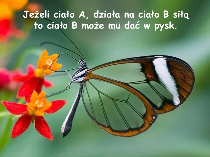 Jeżeli ciało A, działa na ciało B siłą to ciało B może mu dać w pysk.