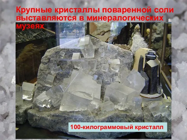 Крупные кристаллы поваренной соли выставляются в минералогических музеях 100-килограммовый кристалл