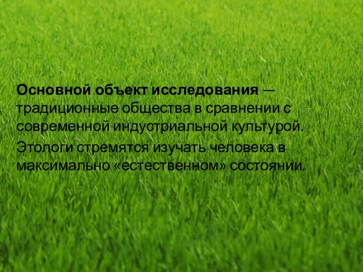 Основной объект исследования — традиционные общества в сравнении с современной