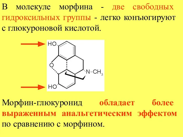 В молекуле морфина - две свободных гидроксильных группы - легко