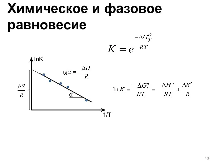 lnK 1/T α Химическое и фазовое равновесие