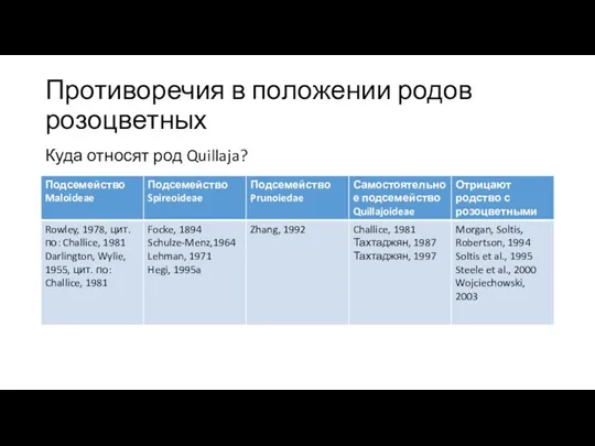 Противоречия в положении родов розоцветных Куда относят род Quillaja?