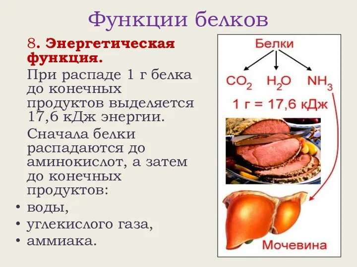 Функции белков 8. Энергетическая функция. При распаде 1 г белка