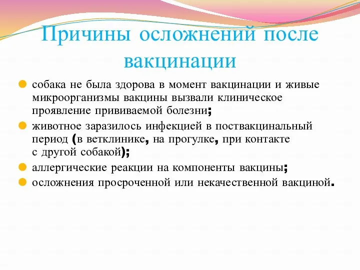 Причины осложнений после вакцинации собака не была здорова в момент