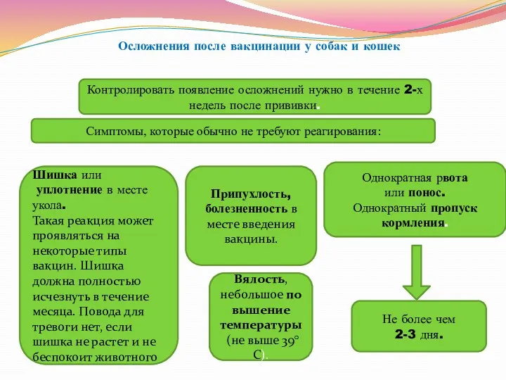 Осложнения после вакцинации у собак и кошек Контролировать появление осложнений