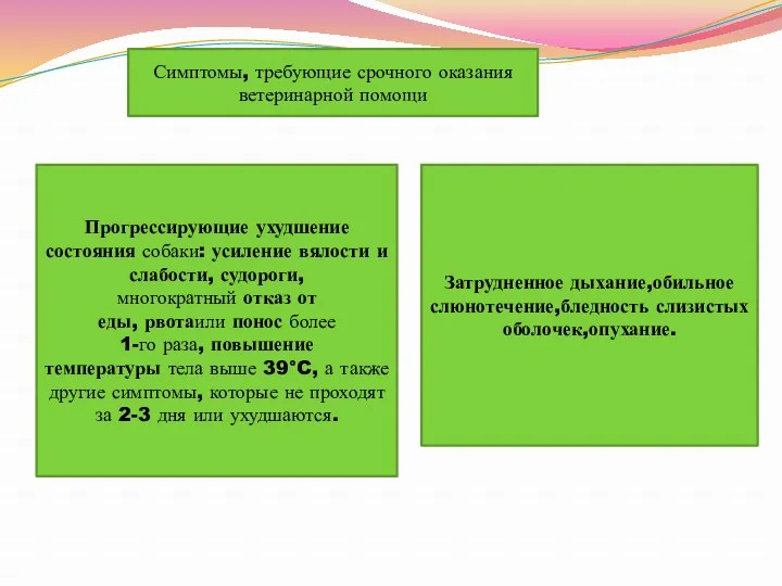 Симптомы, требующие срочного оказания ветеринарной помощи Прогрессирующие ухудшение состояния собаки: