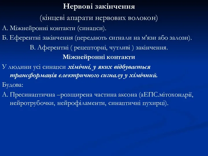 Нервові закінчення (кінцеві апарати нервових волокон) А. Міжнейронні контакти (синапси). Б. Еферентні закінчення