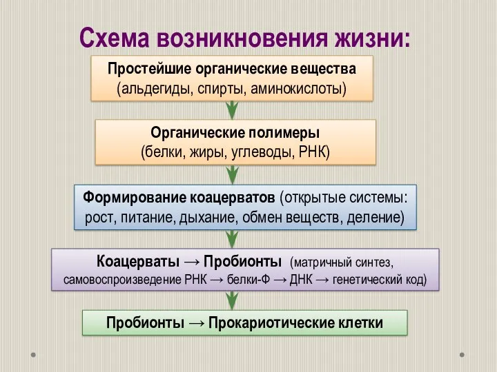 Схема возникновения жизни: Пробионты → Прокариотические клетки Простейшие органические вещества