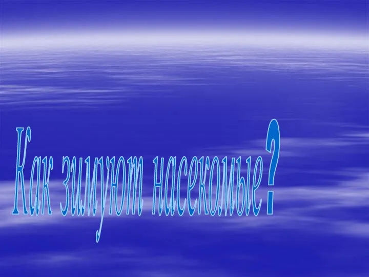 Как зимуют насекомые?