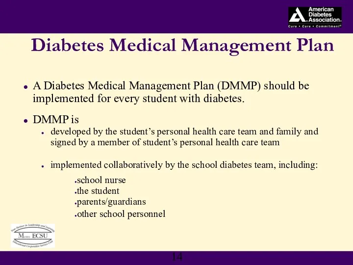 Diabetes Medical Management Plan A Diabetes Medical Management Plan (DMMP)